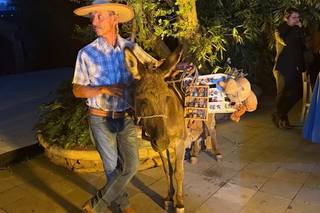 Cortijo Los Fernández - 7