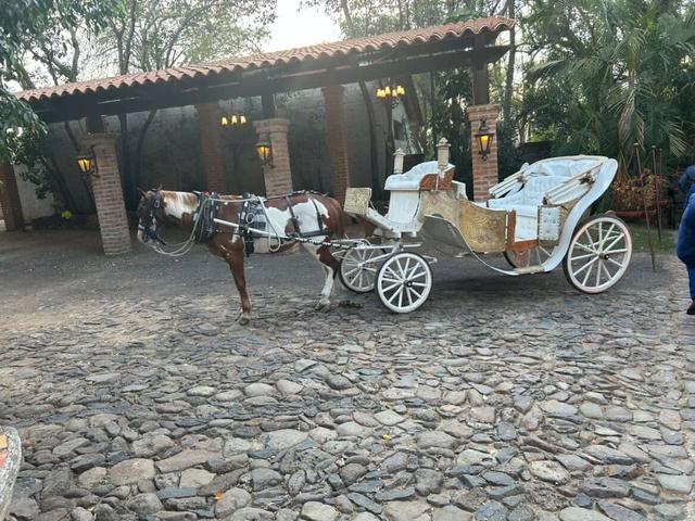 Cortijo Los Fernández - 3