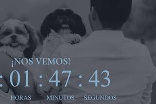 Colibrinvita - 1