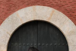 Viridiana Galicia Studio - 6