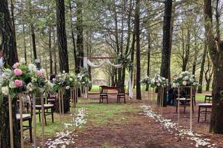 Hacienda Real de Velasco - 5