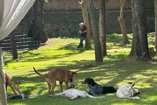 Finca Pintoraco - 13