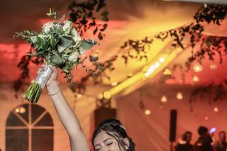 Jóse Carbonell Art - 5