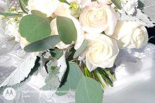 Luteum Flore - 11