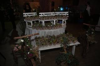 Serata - 9