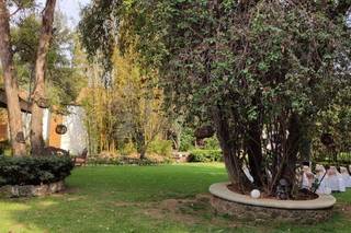 Jardín de Los Olivos - 16