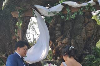 Protocolo Eventos - 20