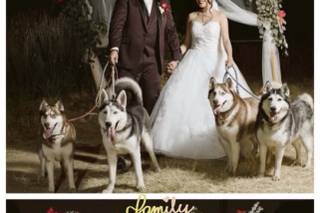 Damita Torres Weddings - 7