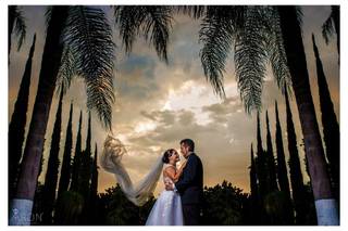 Aaron Photography - 11