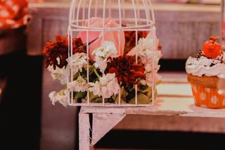 Terrazas Belvedere - 17