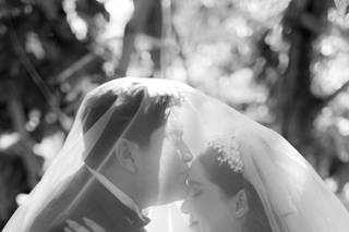Weddings Moments MX - 5