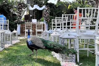 Bodas Xochicalli - 13