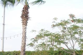 Eventos Paniaguas - 14