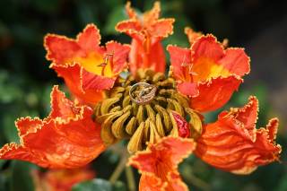 Naty Producciones - 6