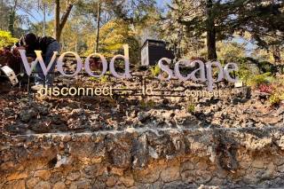 Woodscape - 6