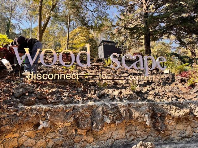 Woodscape - 3