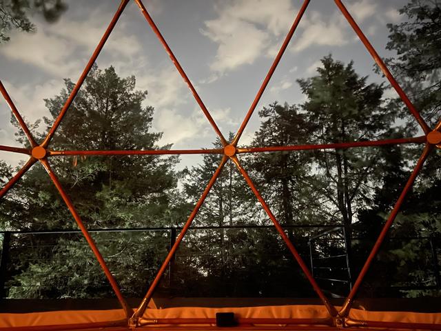 Woodscape - 4