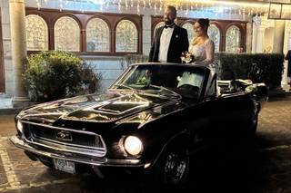 La Belle Époque - 5