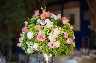 Fernanda Crivelli - 10