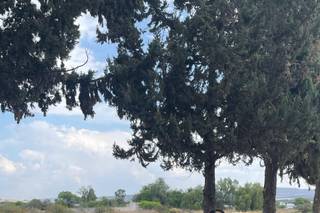 Cochecitos en Renta - 5