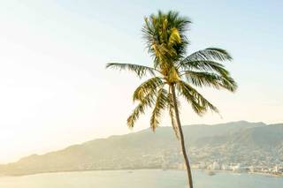 Las Brisas Acapulco - 25
