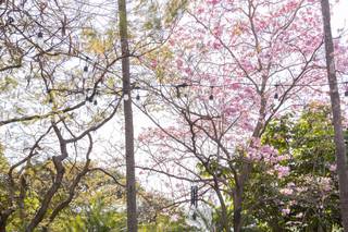 Jardín Ramayana - 15