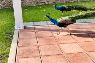 Finca La Gloria - 25