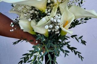 Florería Phalenopsis - 10