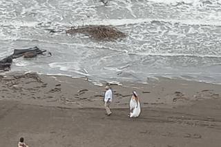 Delta Hotels by Marriott Riviera Veracruz - 11