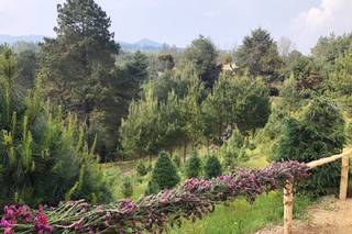 El Bosque del Ciclo Verde - 6
