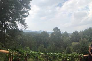 El Bosque del Ciclo Verde - 7