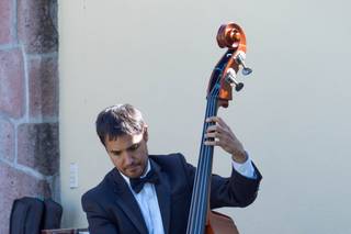 Seratta Violines - 12