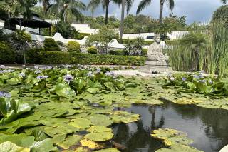 Jardín de La Abundancia - 6