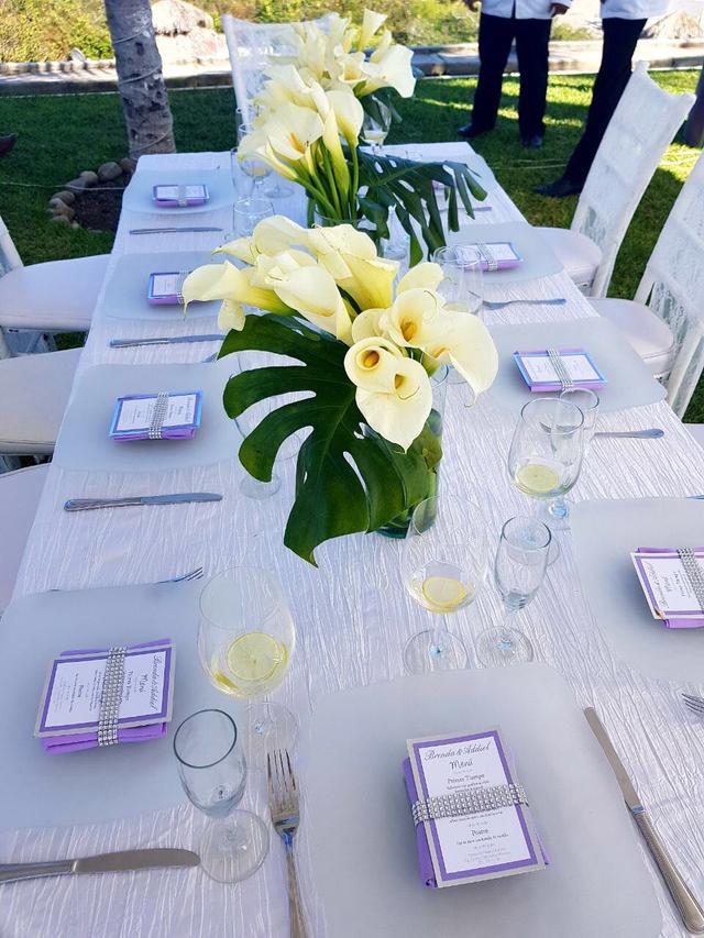 Cynthia Gandarillas - 2