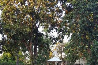 Quinta Alsina Massó - 18