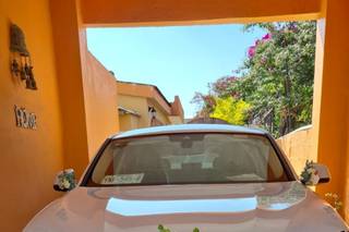 Estragón Floristería - 7