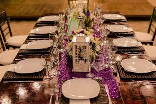 Papillon Making Dreams - 10