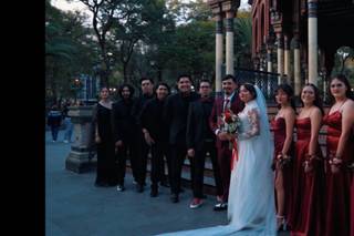 Blooming Dahlia - 15