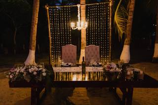 Papillon Making Dreams - 12