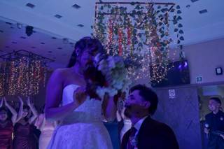 Blooming Dahlia - 16