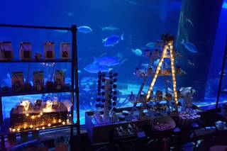 Acuario Inbursa - 5