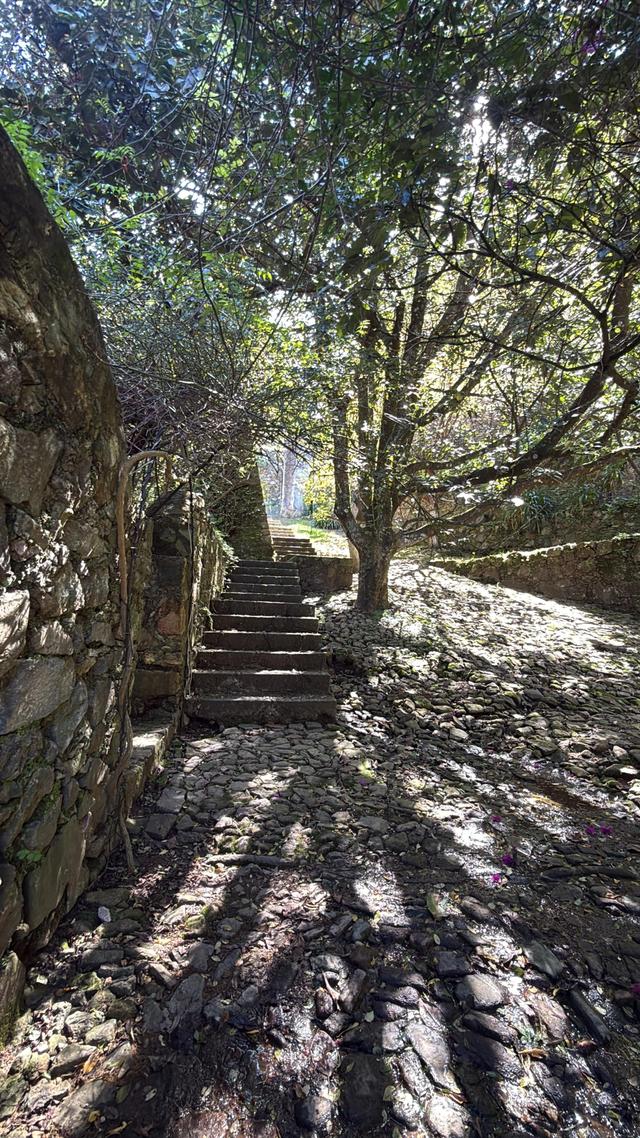 Hacienda San Cayetano - 3