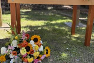 Vale Lugo Agente de Bodas - 15