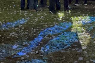 Hacienda San Cayetano - 6