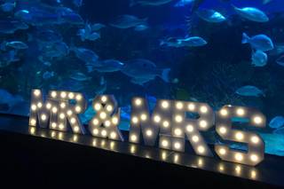 Acuario Inbursa - 7