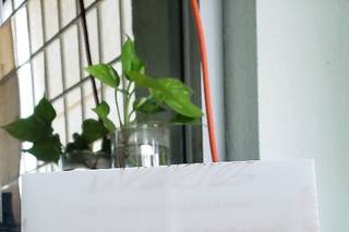 Divas Invitaciones - 1