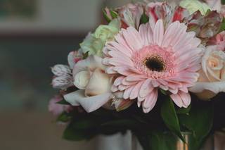 Florart Vallarta - 10