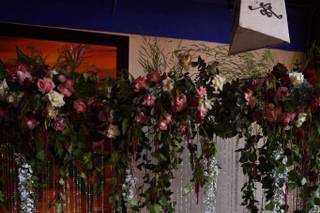 Alex Díaz de León Fotógrafo - 13