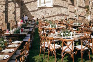 Bodas y Eventos Mascota - 26