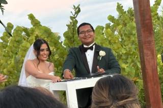 Yes I Do Weddings & Travel - 14